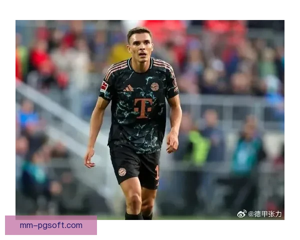 帕利尼亚加盟拜仁助力中场加强后腰位置补强